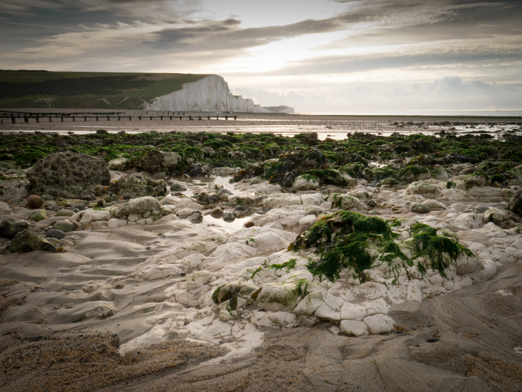 Seven Sisters Cliffs