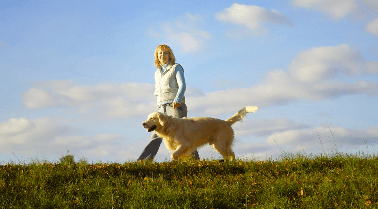 walking-dog.png