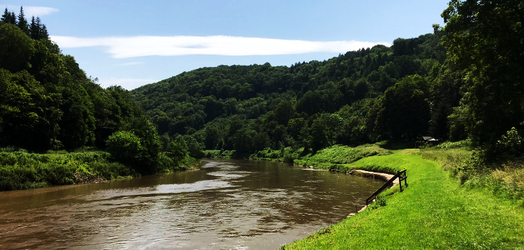 The River Wye Near Redbrook