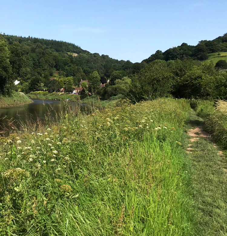 The Wye near Tintern